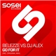 Belezze Vs. DJ Alex - Go For It