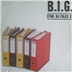 B.I.G. - The DJ Files 2