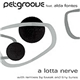 Petgroove - A Lotta Nerve