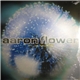 Aaron Flower - Fly Away